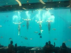-瑞德姆美人鱼海底演艺主题餐厅(亚龙湾店)
