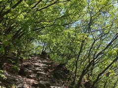 -大觉寺-停车场