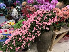 -双季花艺园艺市场(浦东店)
