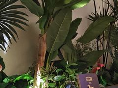 -Mezomd曼索蒂西班牙餐厅(广粤店)