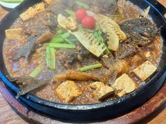 -老板恋上鱼(恒隆广场店)