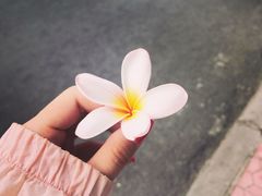 -乌布德传统市场