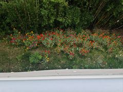 -千岛湖-欢乐水世界