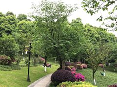 -龙头寺公园