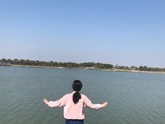 -上海都市菜园
