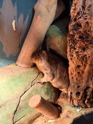 -未来动物城主题公园(正弘城店)