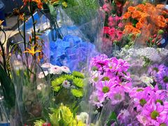 -循礼门鲜花花市(武汉循礼门店)