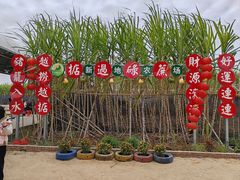 -新地休闲农场