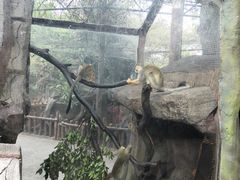-长鹿旅游休博园