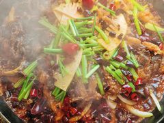 -老板恋上鱼(恒隆广场店)