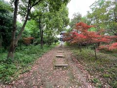 -梁鸿国家湿地公园