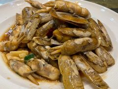 炒蛏子-温岭人家(红花北路店)