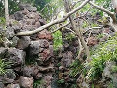 -南通洲际绿博园