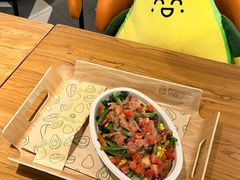 -油梨树 AVOCADO TREE(亮马桥店)