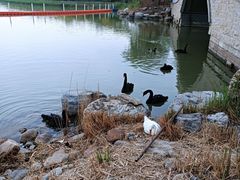 -天津东丽湖风景区