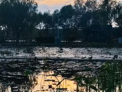 -绿堤公园
