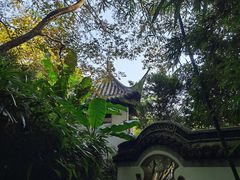 -秋霞圃