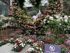 -植物学家的女儿(北马道巷店)