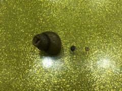 -赵氏盱眙十三香龙虾(蓝村店)