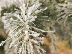 -天鹅湖生态旅游风景区