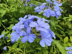 -拿渡·水煮鱼麻辣香锅(王府井奥莱·香江小镇店)