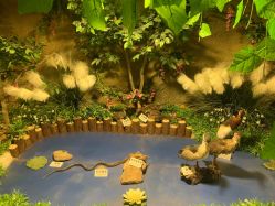 点击看大图 -酷嗒动物文化乐园(cutezoo西溪乐天城店)