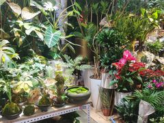 -三旗百汇商品城