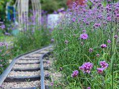 -云峰山自然风景区