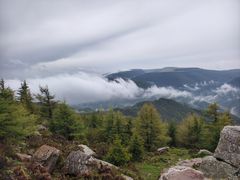 -芦芽山旅游度假区