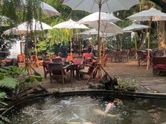 -Fern Forest Cafe
