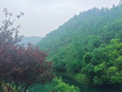 -桃花岭景区