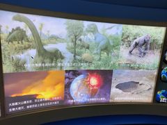 -上海昆虫博物馆