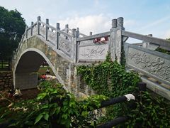 -杨梅坑