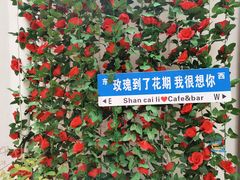 -山塘街