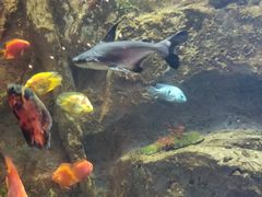 -杭州开元森泊度假乐园