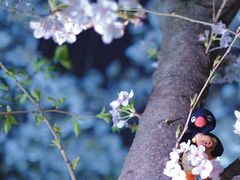 -龙美术馆(西岸馆)