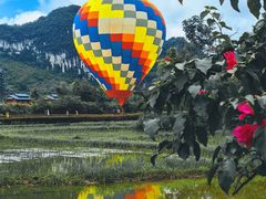 -靖西鹅泉风景区