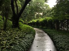 -蟹山公园