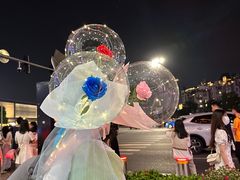 -南昌之星摩天轮