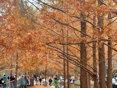 -白水寺森林公园