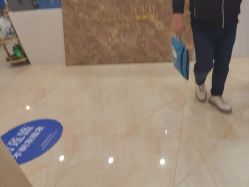 -碧莲盛·不剃发植发