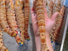 -凯华海鲜火锅·传承三十六年