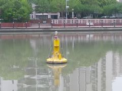 -苏州河梦清园环保主题公园