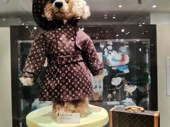 -济州岛泰迪熊博物馆