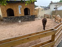 -HERRE·FARM 赫尔露营农场·团建聚会包场