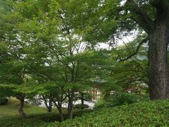 -星巴克(上海交通大学店)