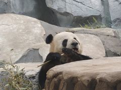 -泉城欧乐堡梦幻世界