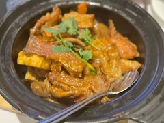 -食为先(Shark Fin)