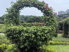 -东莞植物园