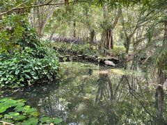 -中国科学院西双版纳热带植物园